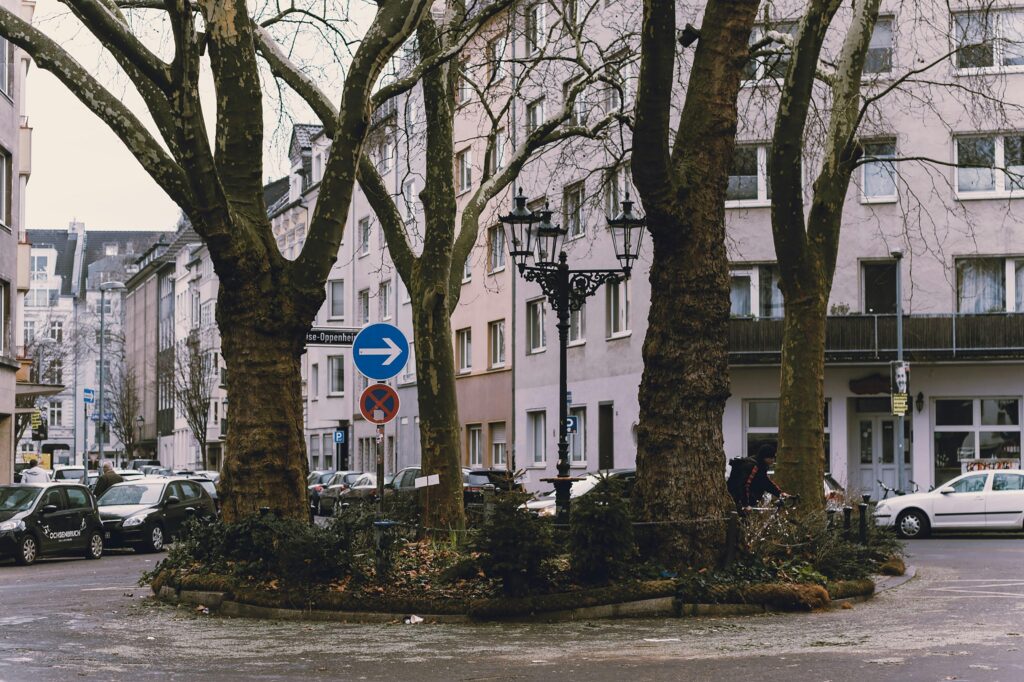 Explore a classic European neighborhood with bare trees, historic buildings, and a roundabout in winter.